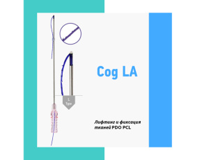 Cog LA - лифтинг подтяжка
