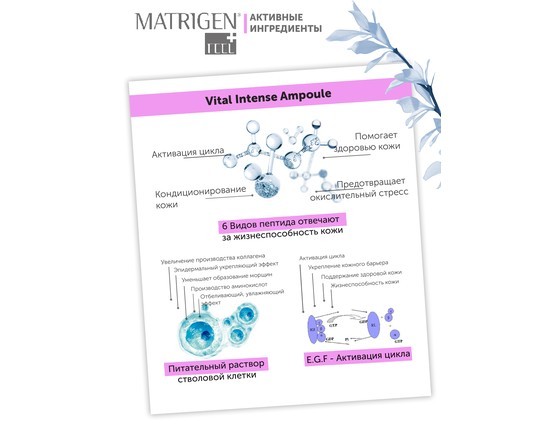 Matrigen Vital Intense Ampoule Омолаживающая ампульная сыворотка для мезотерапии лица Matrigen Vital Intense Ampoule Омолаживающая ампульная сыворотка для мезотерапии лица