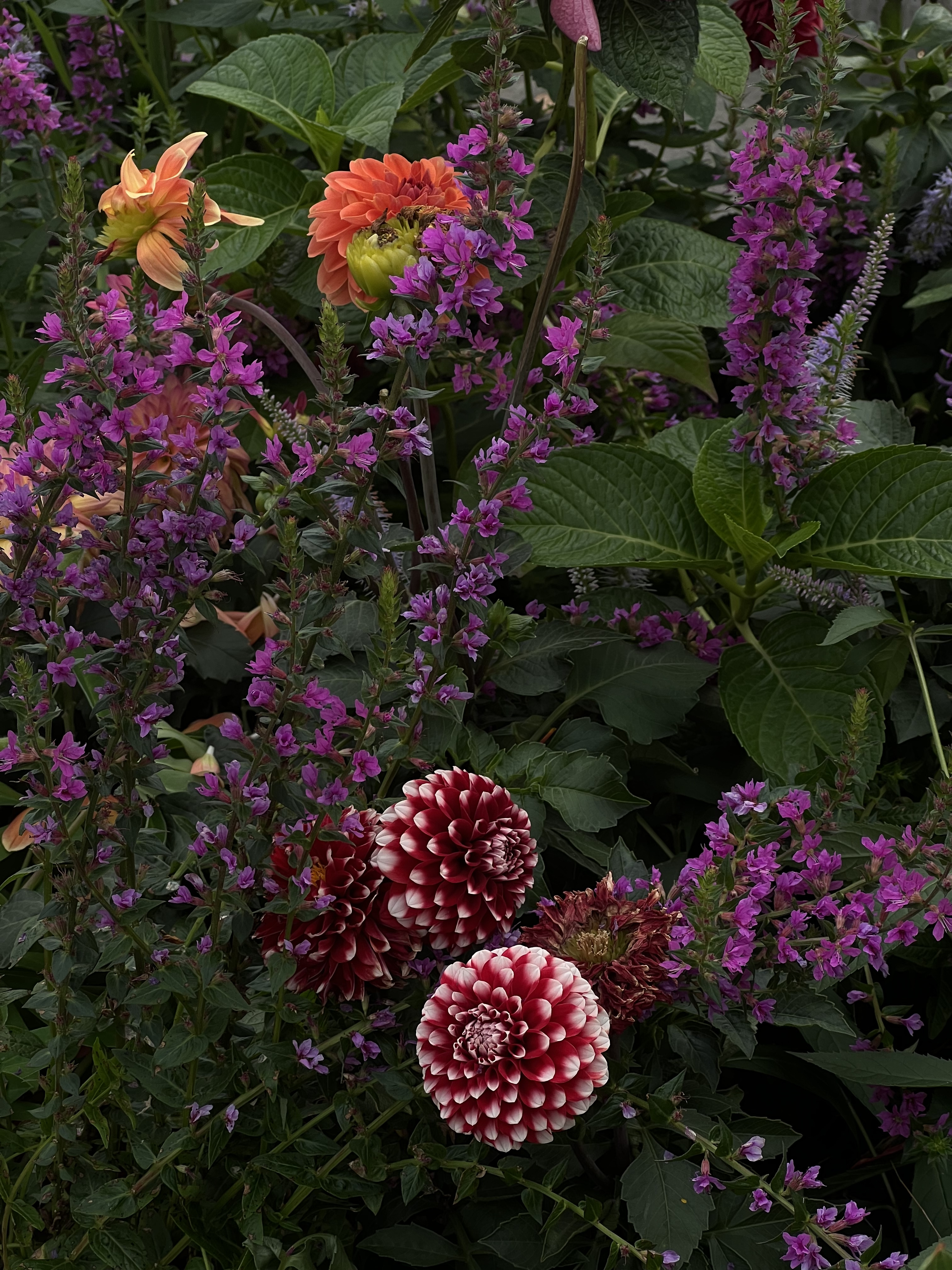 Тестовый товар дистрика 1