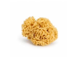 Морской спонж Marine Sponge