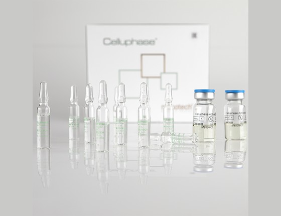 CELLUPHASE (ЦЕЛЛЮФЕЙЗ) Воздействие на все механизмы формирования целлюлита