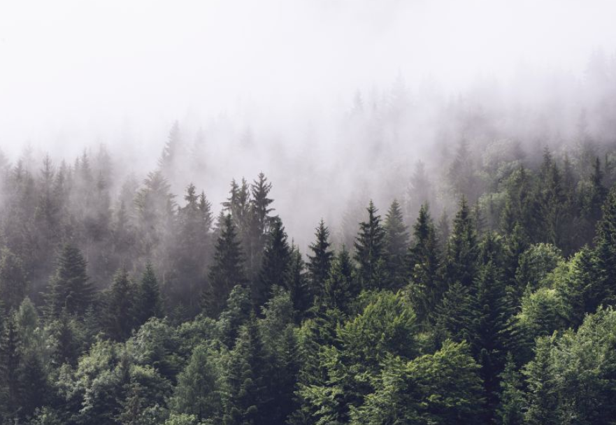 Тест товар от дистрика 2