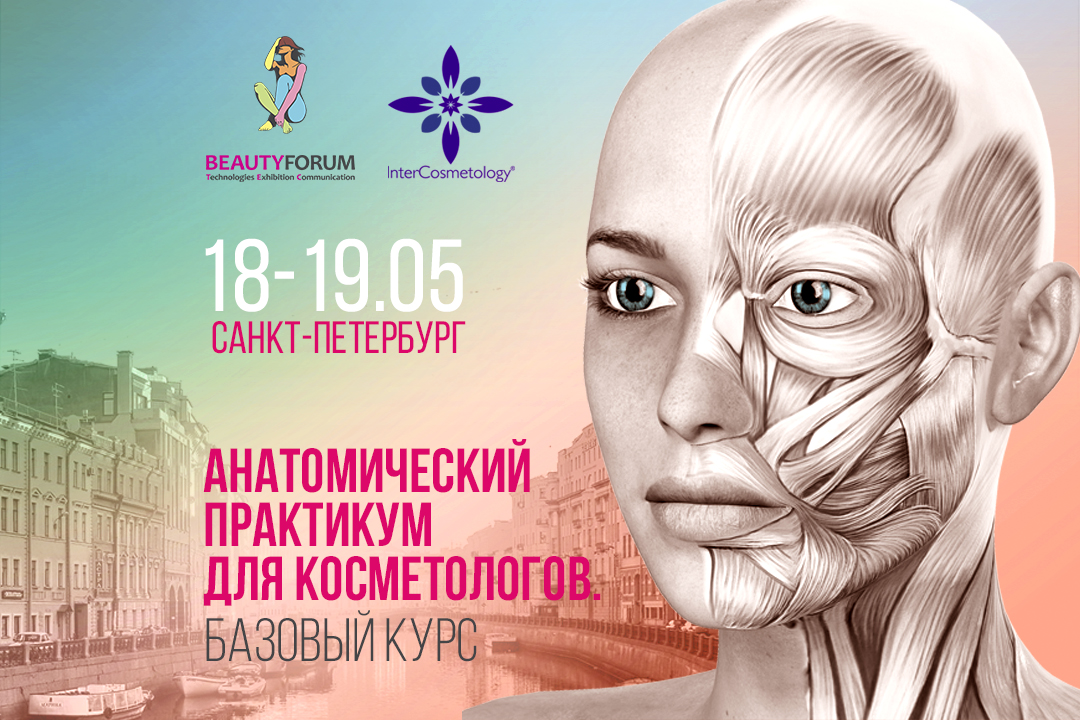 Анатомический практикум для косметологов. Базовый курс