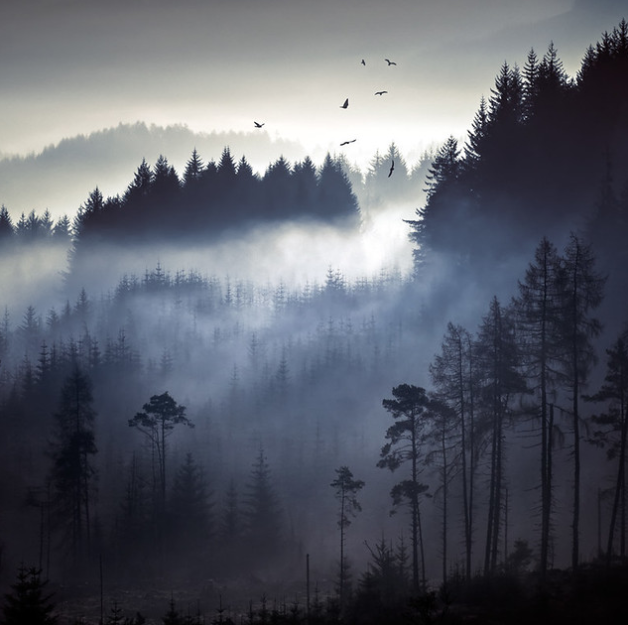 Тест товар от дистрика 2